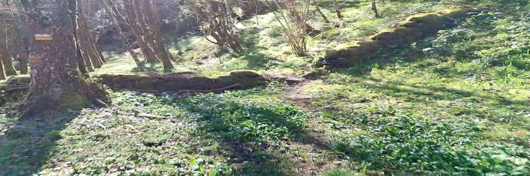 Usos de los muros de junta seca en el río Donsal